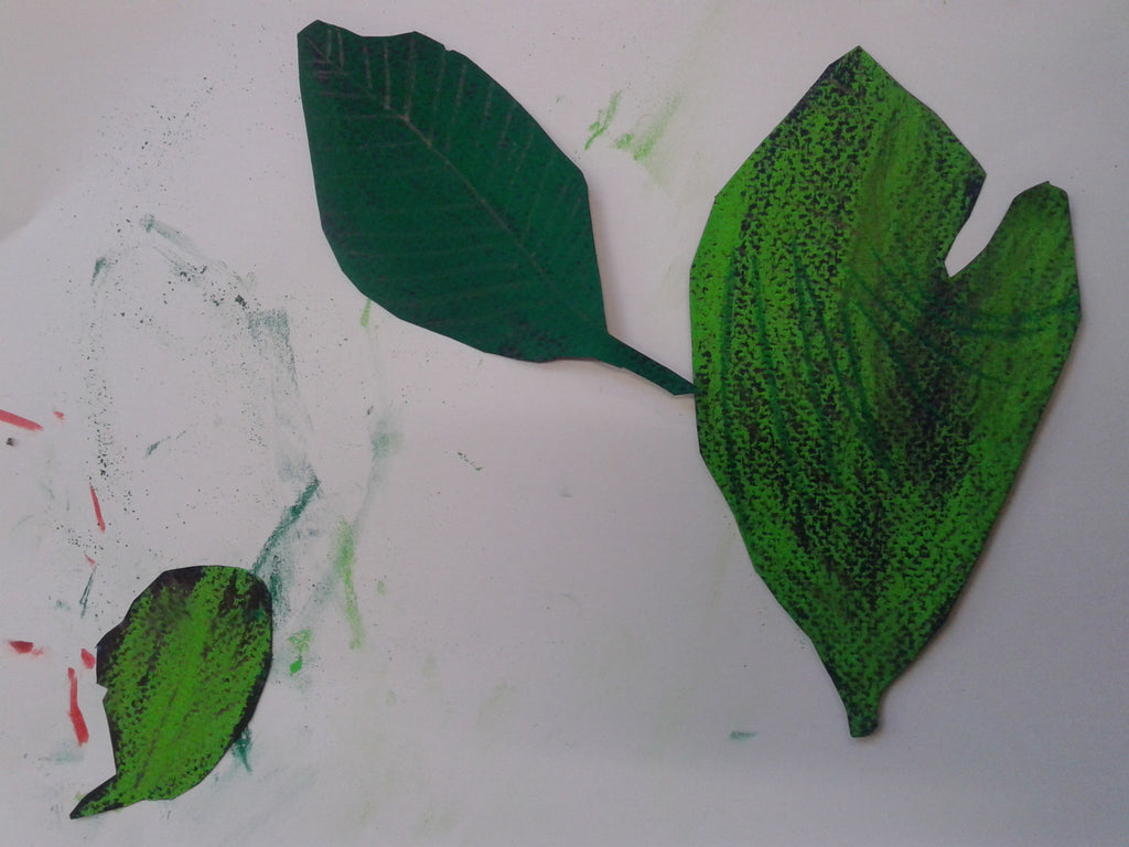 Leaf studies